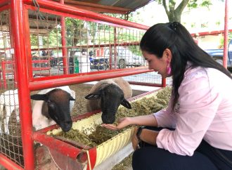 Soberanía alimentaria, prioridad de inversión en Ciencia y Tecnología