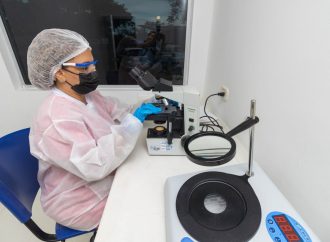 Deuda histórica: Día Internacional de la Mujer y la Niña en la Ciencia