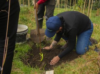 Agronegocios, ¿salida a la inseguridad alimentaria?