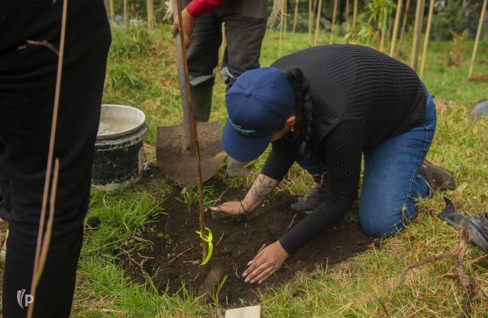 Agronegocios, ¿salida a la inseguridad alimentaria?