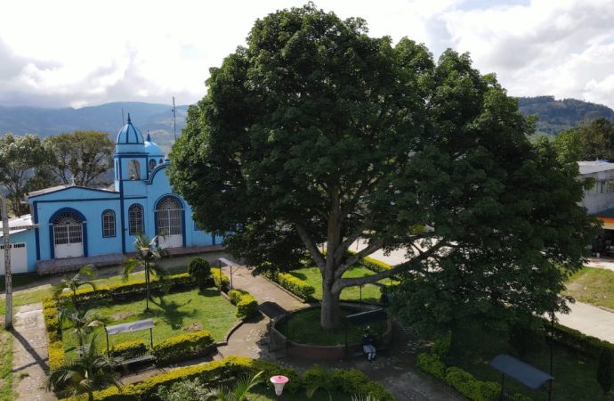 Huila designará su ‘Monumento Natural 2025’