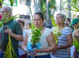 Con 34 mil plantas vivas, Huila le cumplió al ambiente en Domingo de Ramos