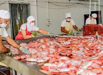 Huila ratifica primer lugar como productor piscícola del país