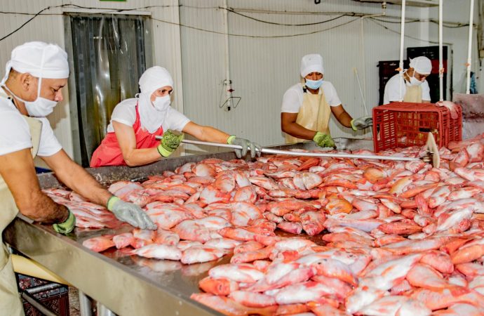 Huila ratifica primer lugar como productor piscícola del país