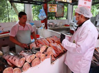 Autoridades intensifican controles del pescado en Semana Santa
