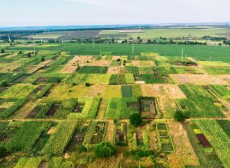 ¿Qué hacer en el Día Internacional de la Madre Tierra?