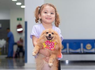 La Ley Ángel, paso firme contra el maltrato animal