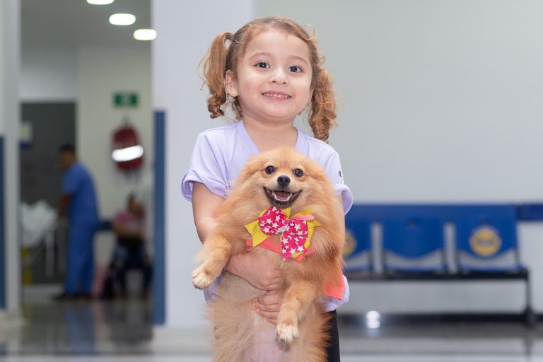 La Ley Ángel, paso firme contra el maltrato animal