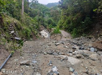 Temporada de lluvias deja 583 familias damnificadas