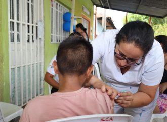 Fiebre amarilla: alerta sobre crisis ambiental y sanitaria