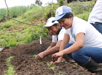 En San Agustín, campesinas conservan el territorio con huertas comunitarias