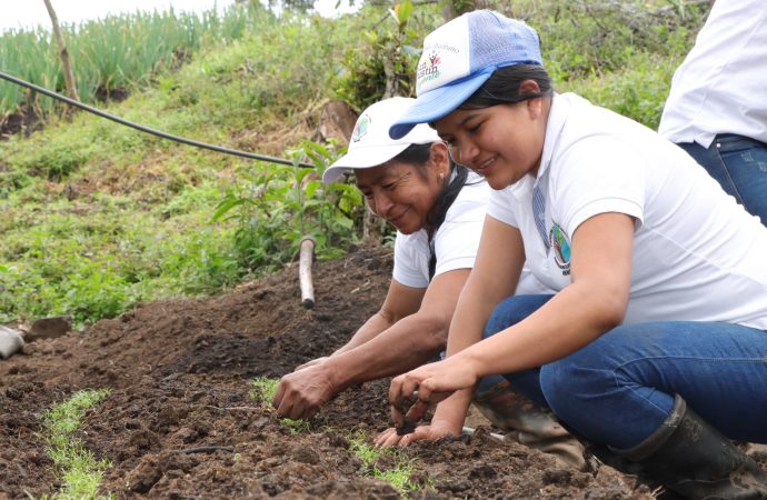En San Agustín, campesinas conservan el territorio con huertas comunitarias