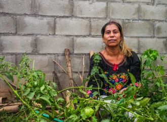 Impulsan  agricultura con enfoque ambiental en Huila