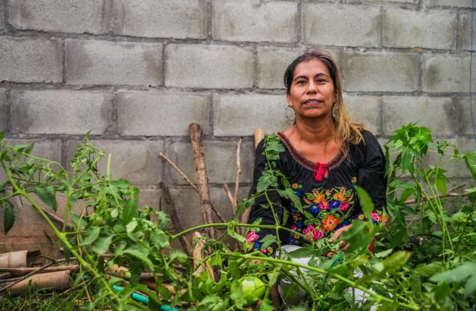 Impulsan  agricultura con enfoque ambiental en Huila