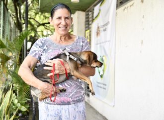 Denuncian falta de voluntad para concretar  Centro de Bienestar Animal