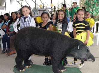 Semana Ambiental en Huila para construir conciencia colectiva