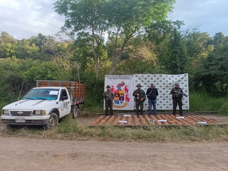 Golpes al narcotráfico en La Plata: incautan 235 kilos de marihuana