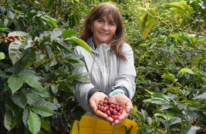 Establecen retos para impulsar el campo huilense