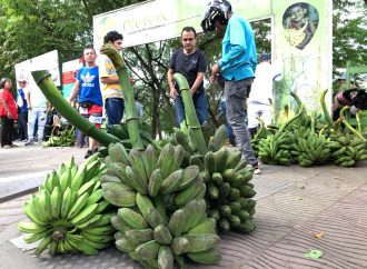 Neiva, con el mayor costo de vida