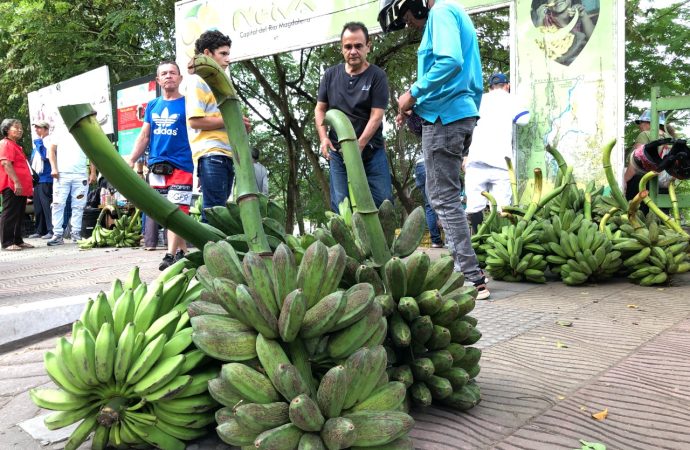 Neiva, con el mayor  costo de vida