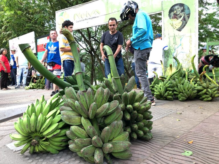 Neiva, con el mayor  costo de vida