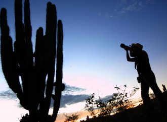 Llamado a impulsar un turismo responsable e integral