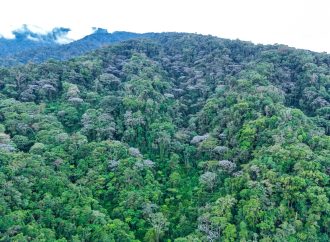 Huila, territorio estratégico para la conservación de la biodiversidad