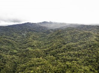 Destapan efectos del cambio climático en el Huila