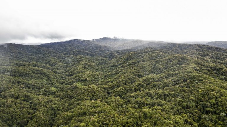 Destapan efectos del cambio climático en el Huila