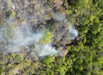 Peligran reservas forestales por incendios en zona rural de Neiva