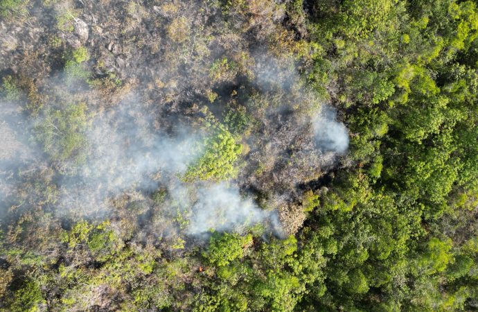 Peligran reservas forestales por incendios en zona rural de Neiva