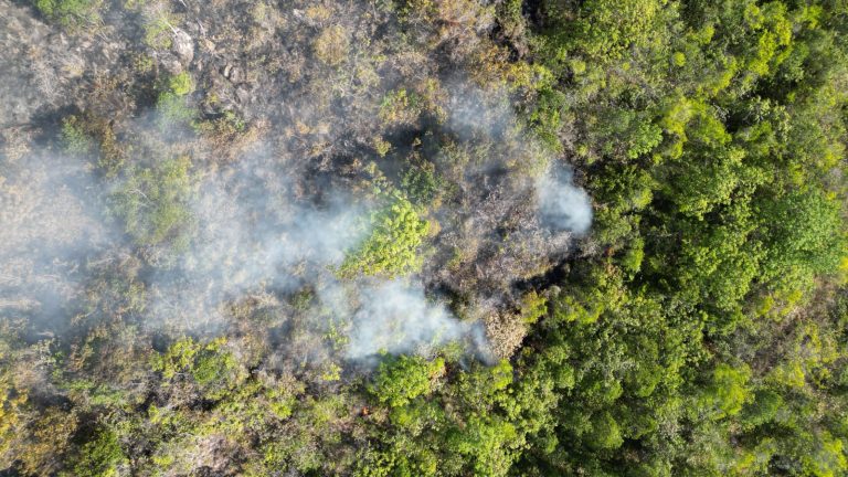 Peligran reservas forestales por incendios en zona rural de Neiva