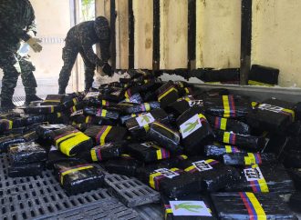 Incautan 827 kilos de marihuana en La Plata
