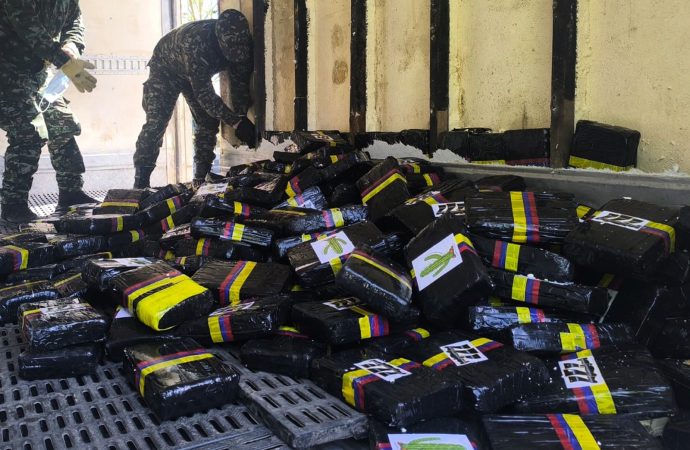 Incautan 827 kilos de marihuana en La Plata