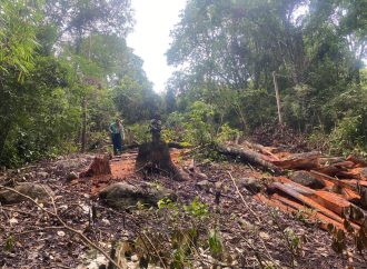 Huila: 17 mil denuncias ambientales