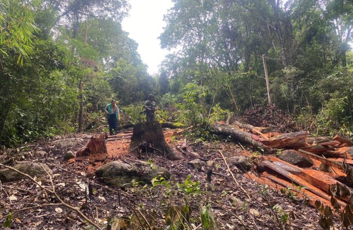 Huila: 17 mil denuncias ambientales