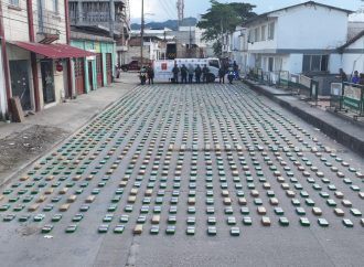 Decomisan una tonelada de marihuana en Isnos