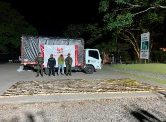 Incautan  media tonelada de marihuana en La Plata