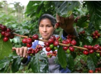 Lanzan en Huila “Cosechando Vida”
