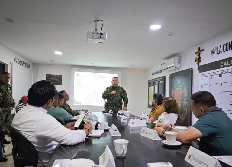 Plan Estraégico para la seguridad en el sur del Huila