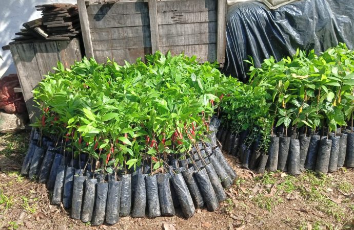 Buscan conservar, y salvar, la cuenca de río Las Ceibas