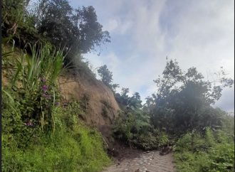 Lluvias generan múltiples emergencias en el Huila