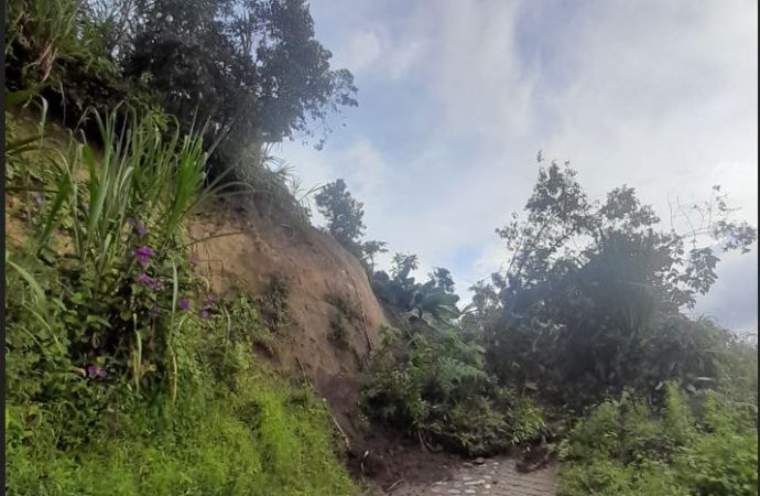 Lluvias generan múltiples emergencias en el Huila