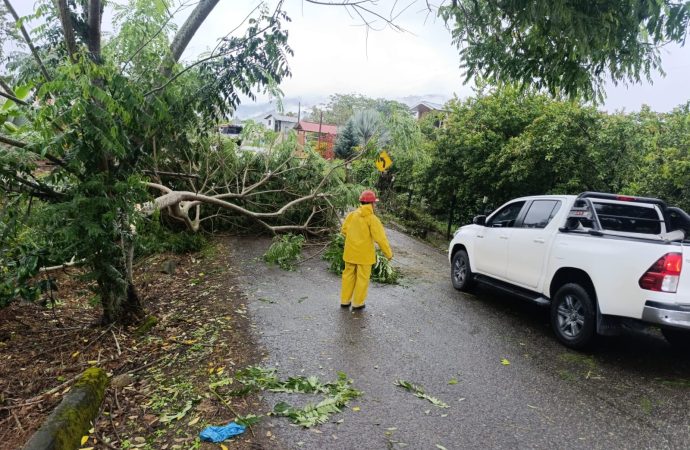 Afectaciones viales por deslizamientos y crecientes súbitas