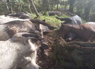 Monitoreo permanente ante emergencias por lluvias