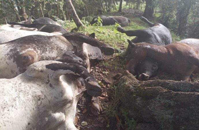 Monitoreo permanente ante emergencias por lluvias