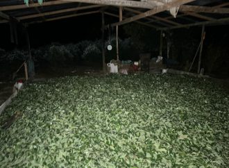 Destruyen laboratorio para el procesamiento de coca