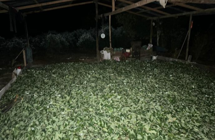 Destruyen laboratorio para el procesamiento de coca