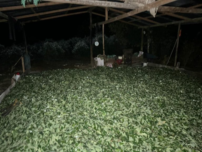 Destruyen laboratorio para el procesamiento de coca