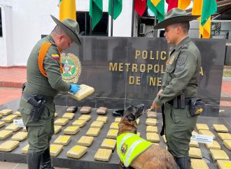Héroe de cuatro patas detecta 97 paquetes de marihuana en  Neiva